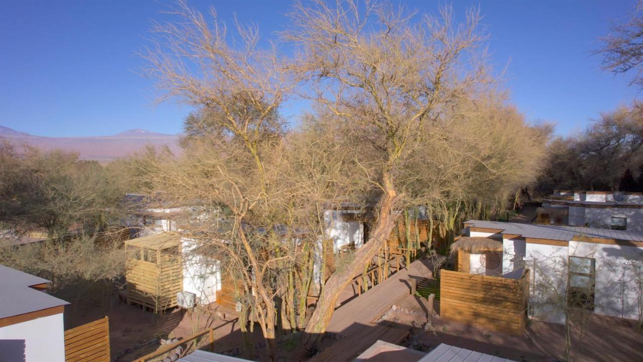 Lodge Quelana Σαν Πέδρο ντε Ατακάμα Εξωτερικό φωτογραφία