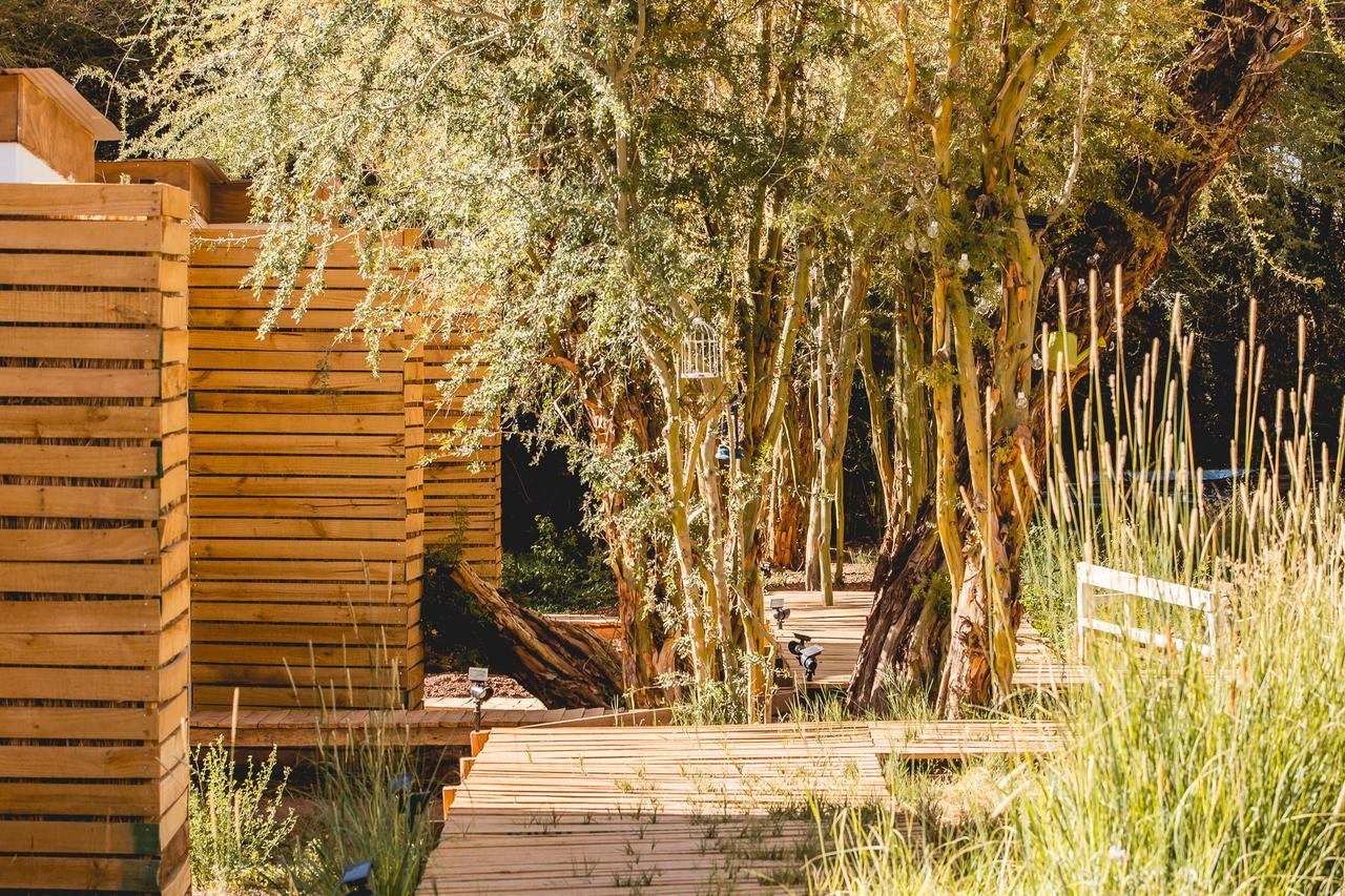 Lodge Quelana Σαν Πέδρο ντε Ατακάμα Εξωτερικό φωτογραφία